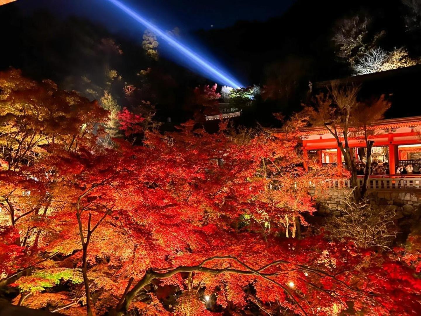 Rinn Gion Kenninji Kioto Exterior foto